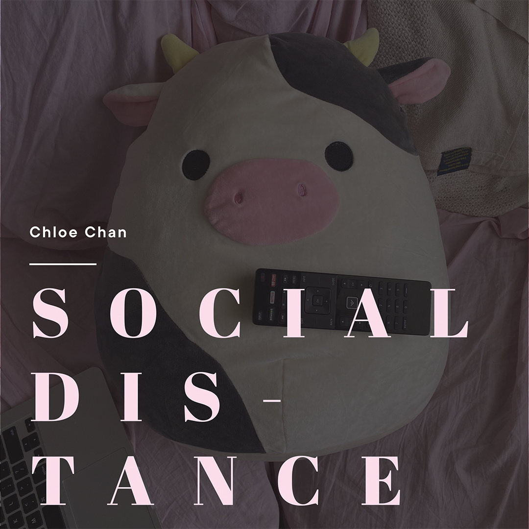 Social Distance Cow