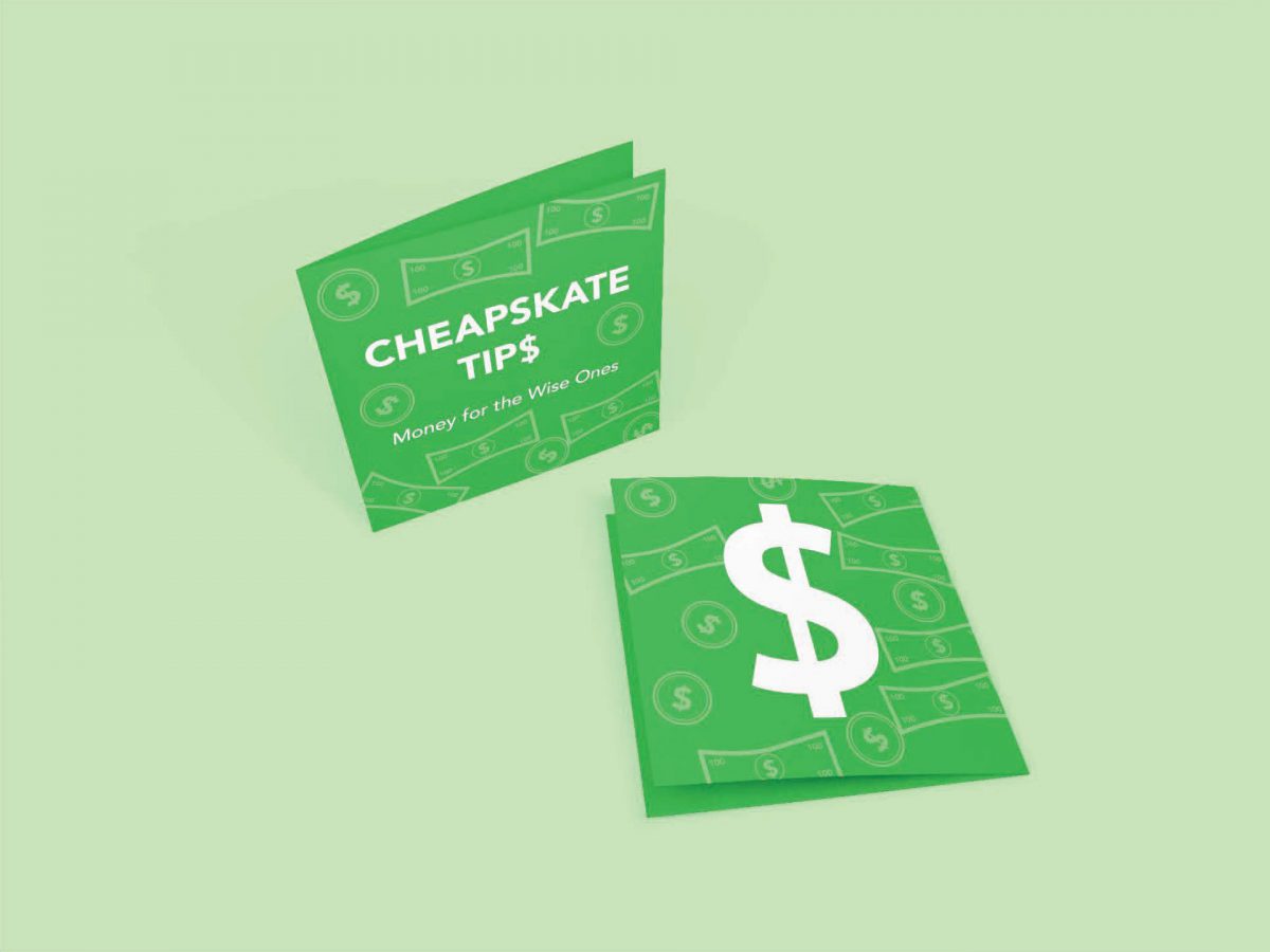 CHEAPSKATE Brochure – Front/Back Page