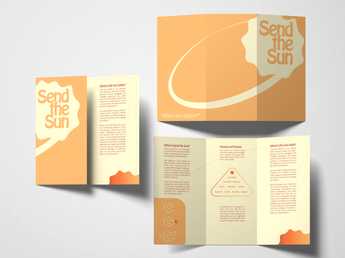 Send the Sun Informational Brochure